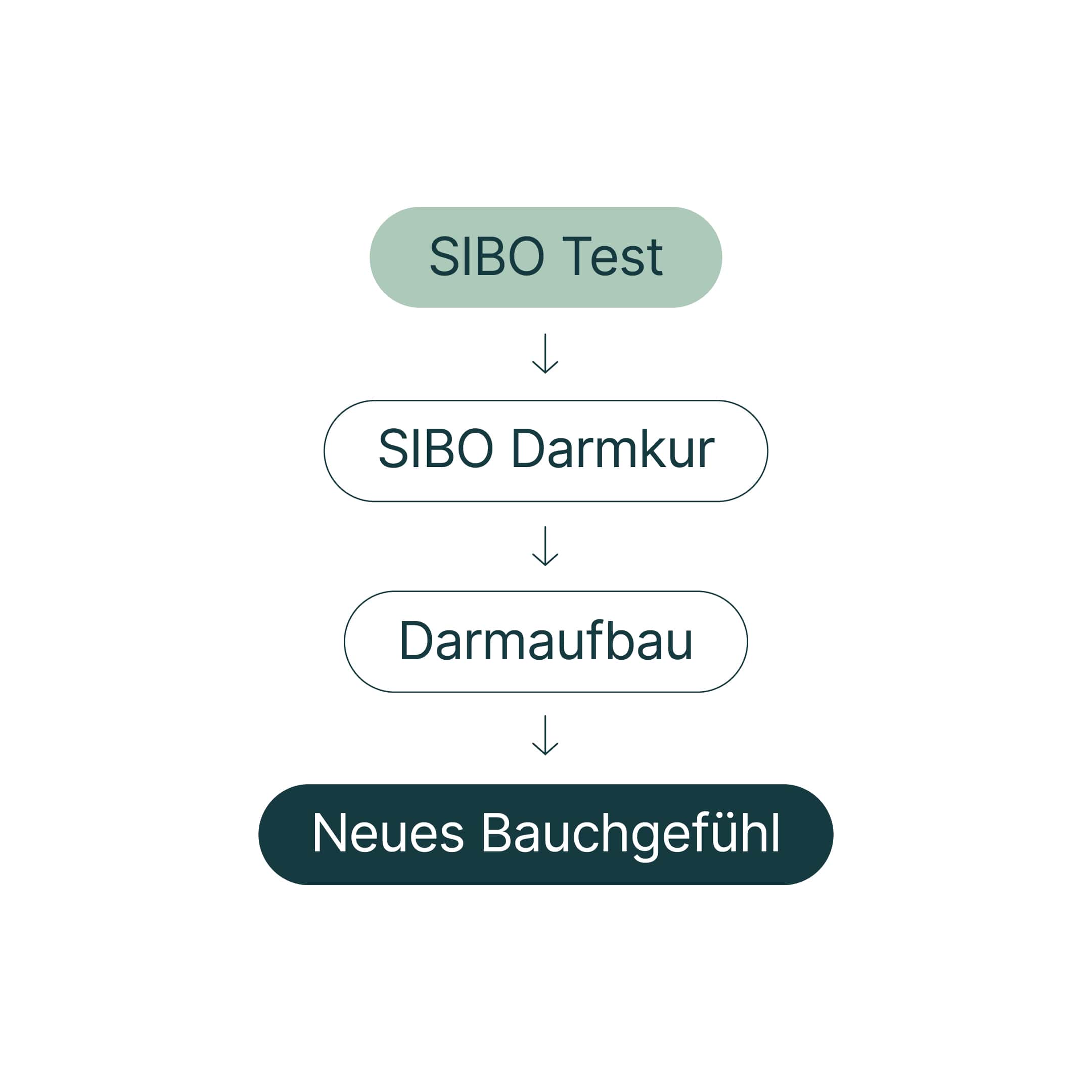 SIBO Test